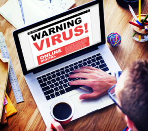 sarasota virus removal